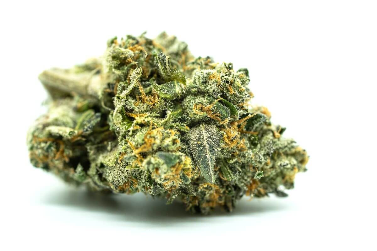 Premium THCA flower close up