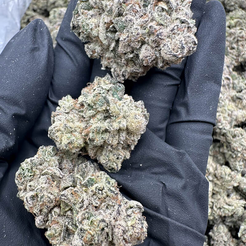 Grand Cru OG flower close up
