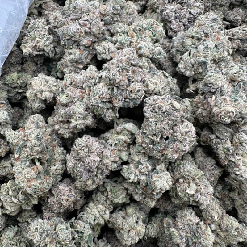 Grand Cru OG flower detail